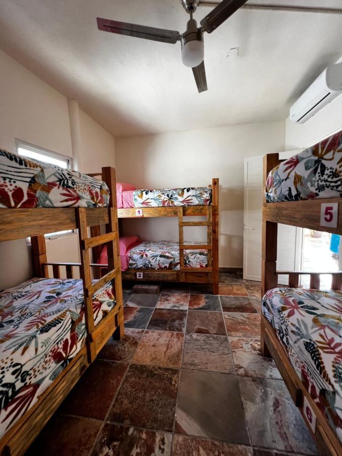 Hostal บูเซเรียส ภายนอก รูปภาพ